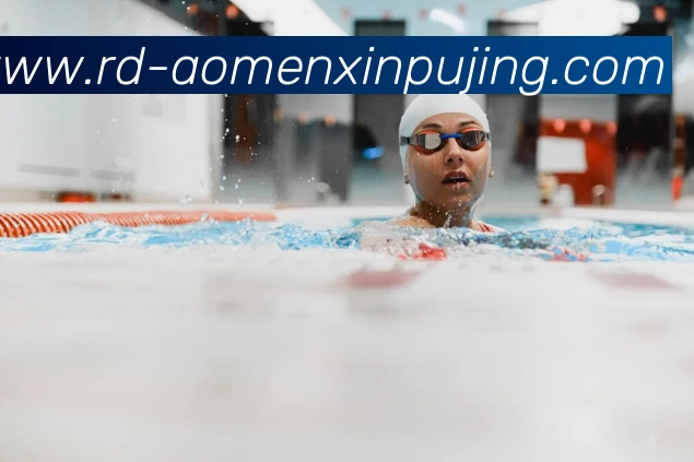 多媒体互动体验